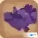 迷你世界珍木树叶怎么获得 珍木树叶合成表攻略