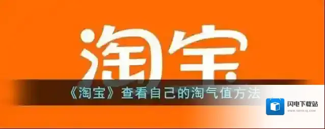 《淘宝》查看自己的淘气值方法