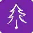 小树优选应用2025-小树优选最新版Androidv1.2.1